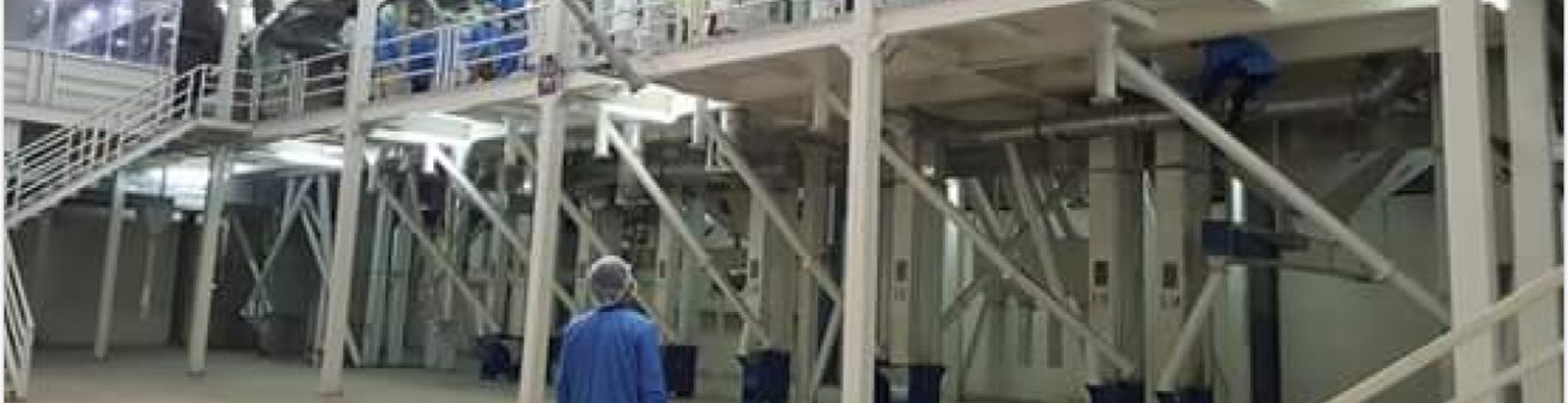 Inside the Ferozepur Foods mill, showing the multi-storey milling and sorting plant